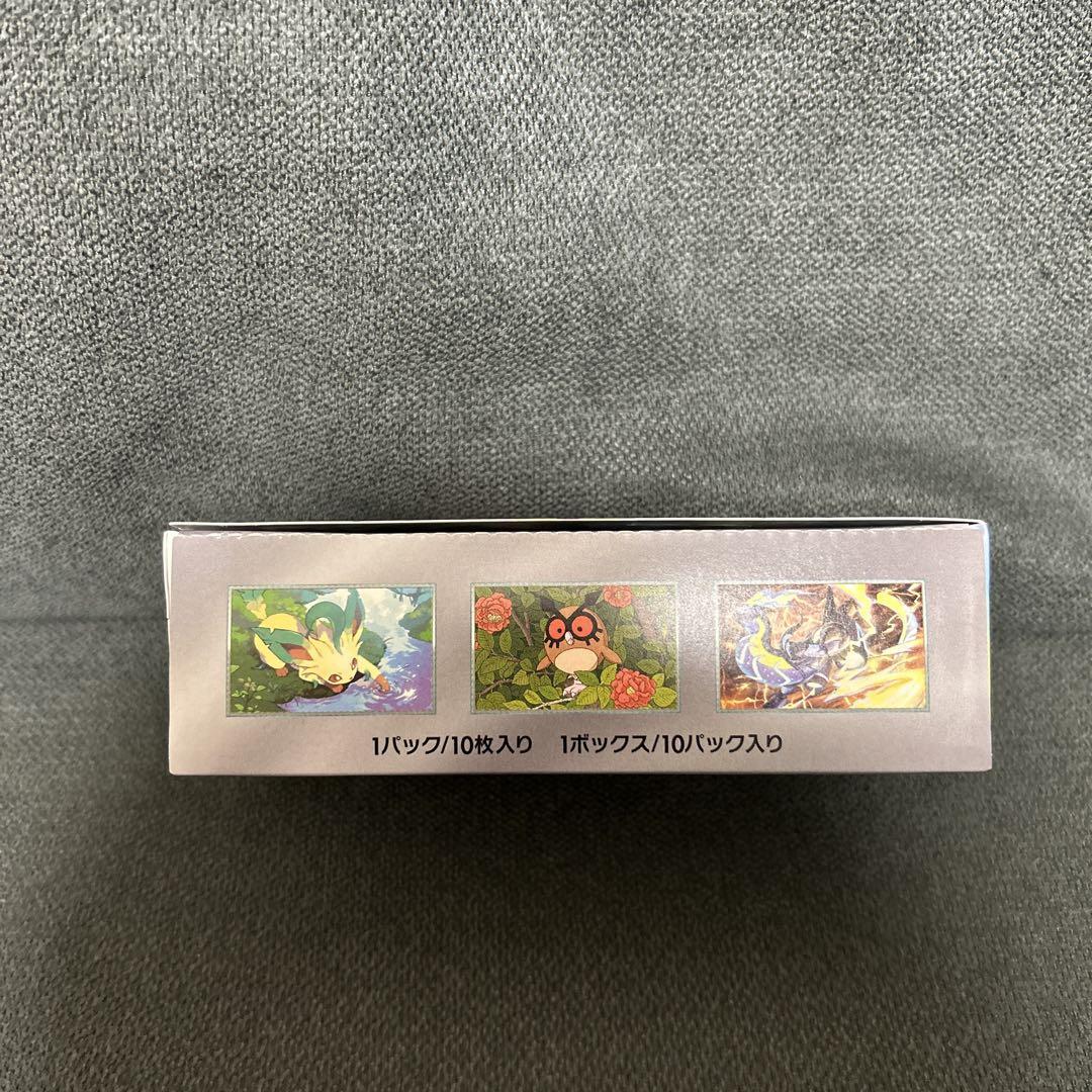 テラスタルフェスex 1BOX