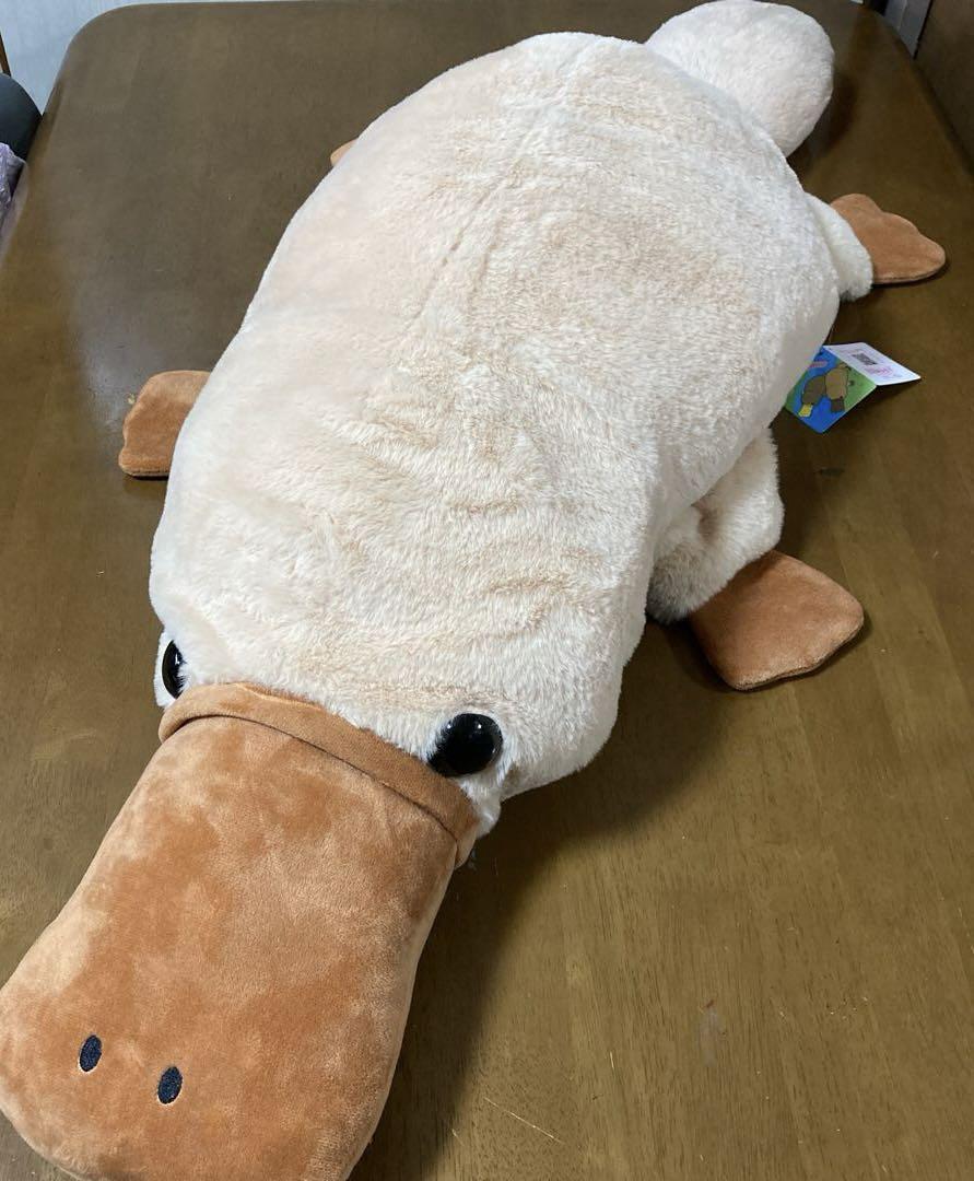 【未使用品】 ふわふわカモノハシ ／ 全長約105 [ 抱き枕・超BIGぬいぐるみ ぬいぐるみ