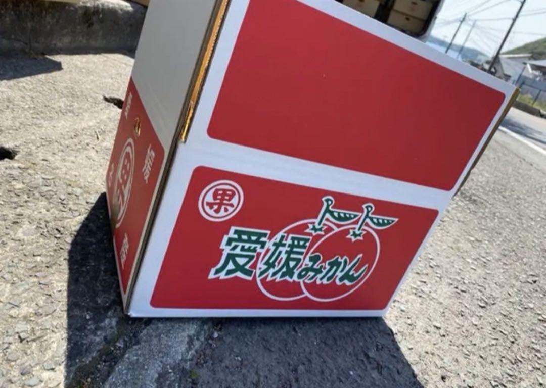 訳あり品愛媛県　甘平　柑橘　 10kg