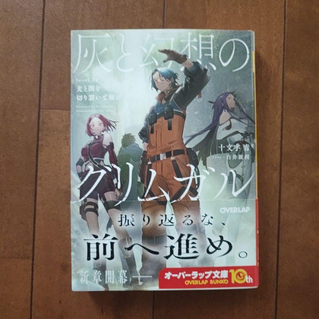 灰と幻想のグリムガル 1〜21巻 21冊セット Amazon.co.jp: 灰と幻想のグリムガル level.21 光と闇を切り裂い