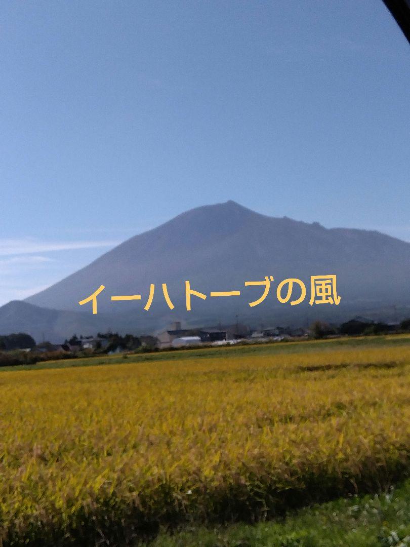 ☆はぜ掛け 天日干し籾米（稲 米 掛け干し 天日干し はぜ掛け