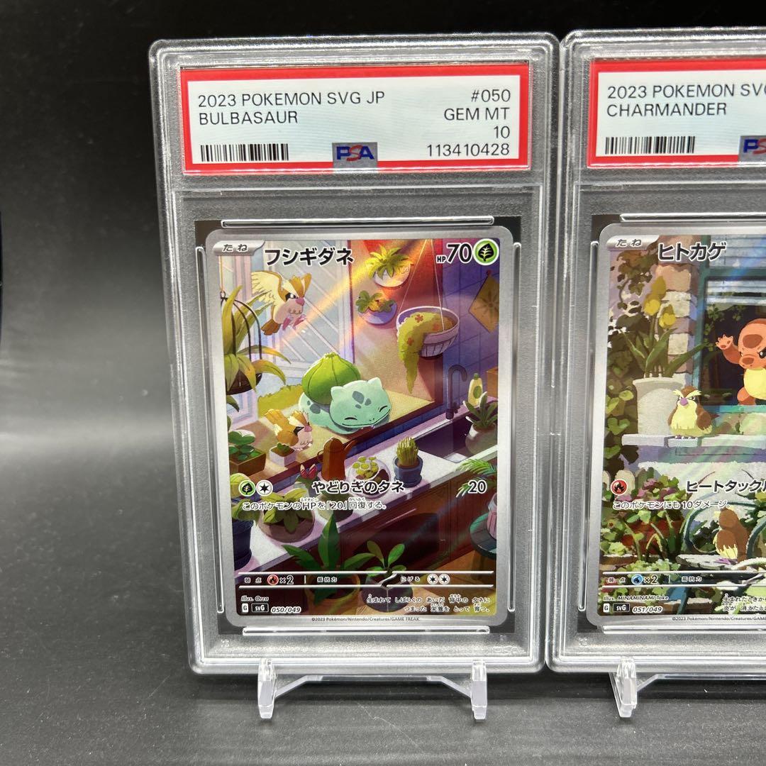 連番！ポケモンカード スペシャルデッキセットEX 御三家 AR
