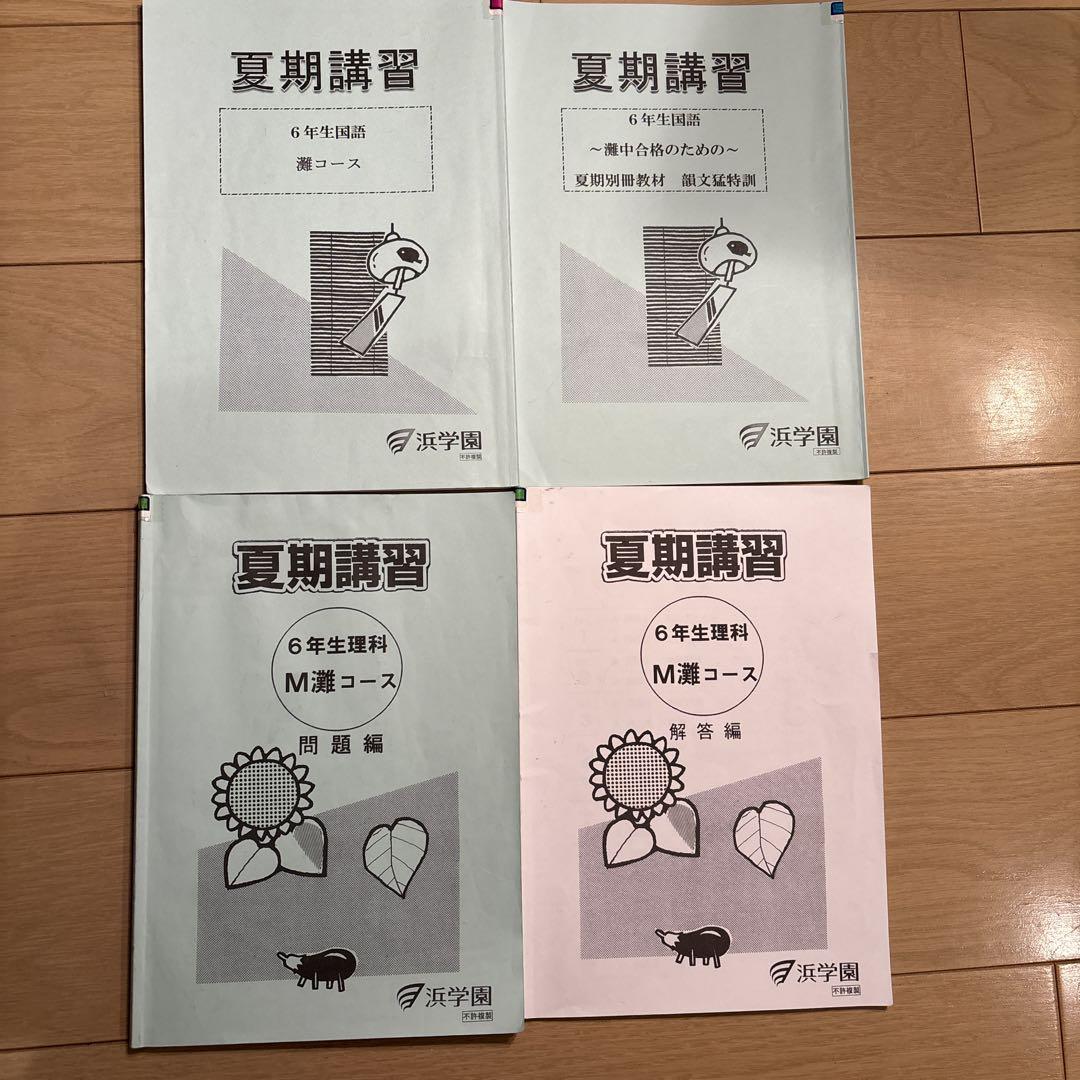 大学 兄弟割引 夏期講習 浜学園 灘コース 最新版 2024年 語学・辞書・学習参考書