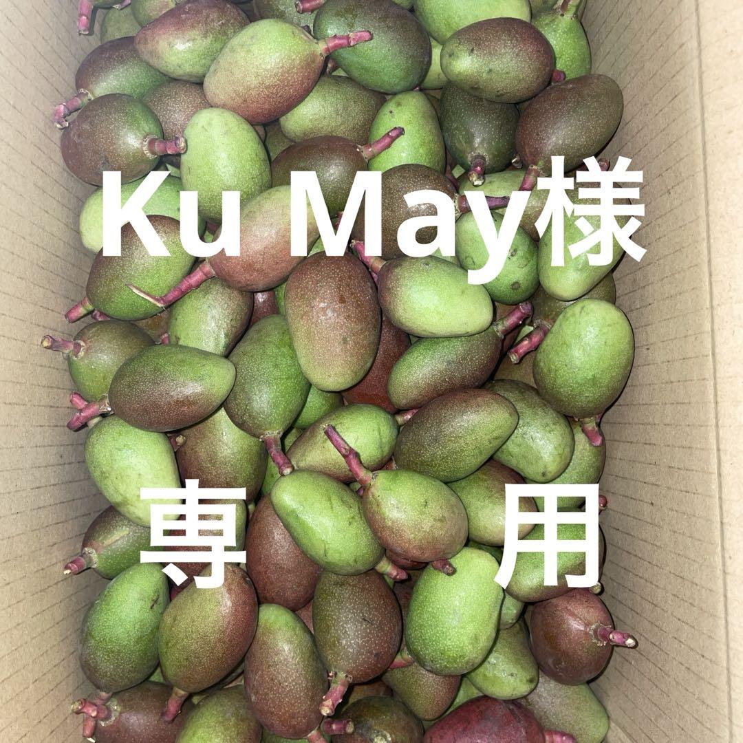 摘果マンゴー