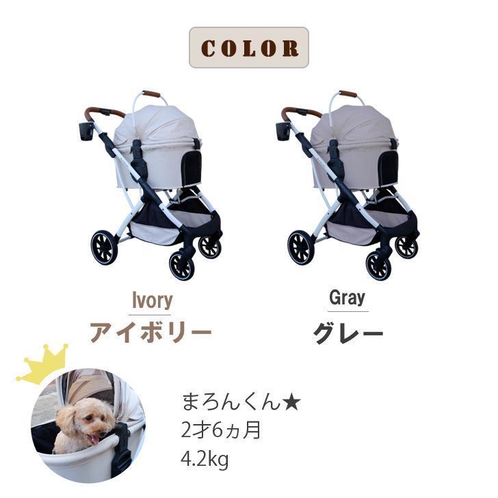 分離式