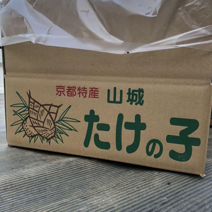 お買い得低価 桜様専用 たけのこ 京都産 山城 qOE2F-m73417042688 訳あり筍 3キロ 定番HOT