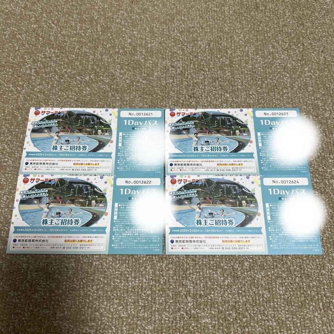 東京サマーランド 株主ご招待券4枚セット 1Dayパス