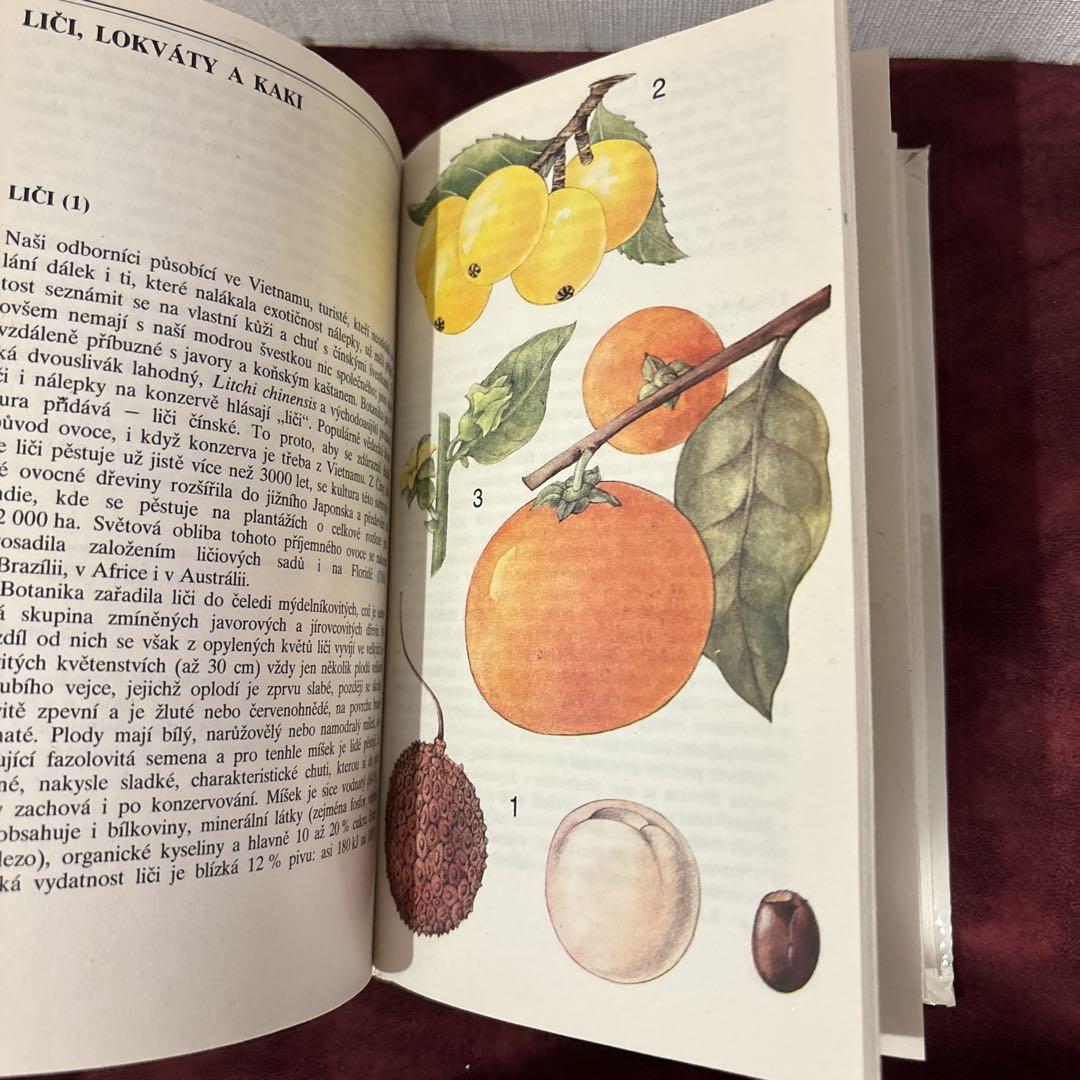 ❤️セール712①チェコ植物図鑑 洋書古書 ボタンニカルアート