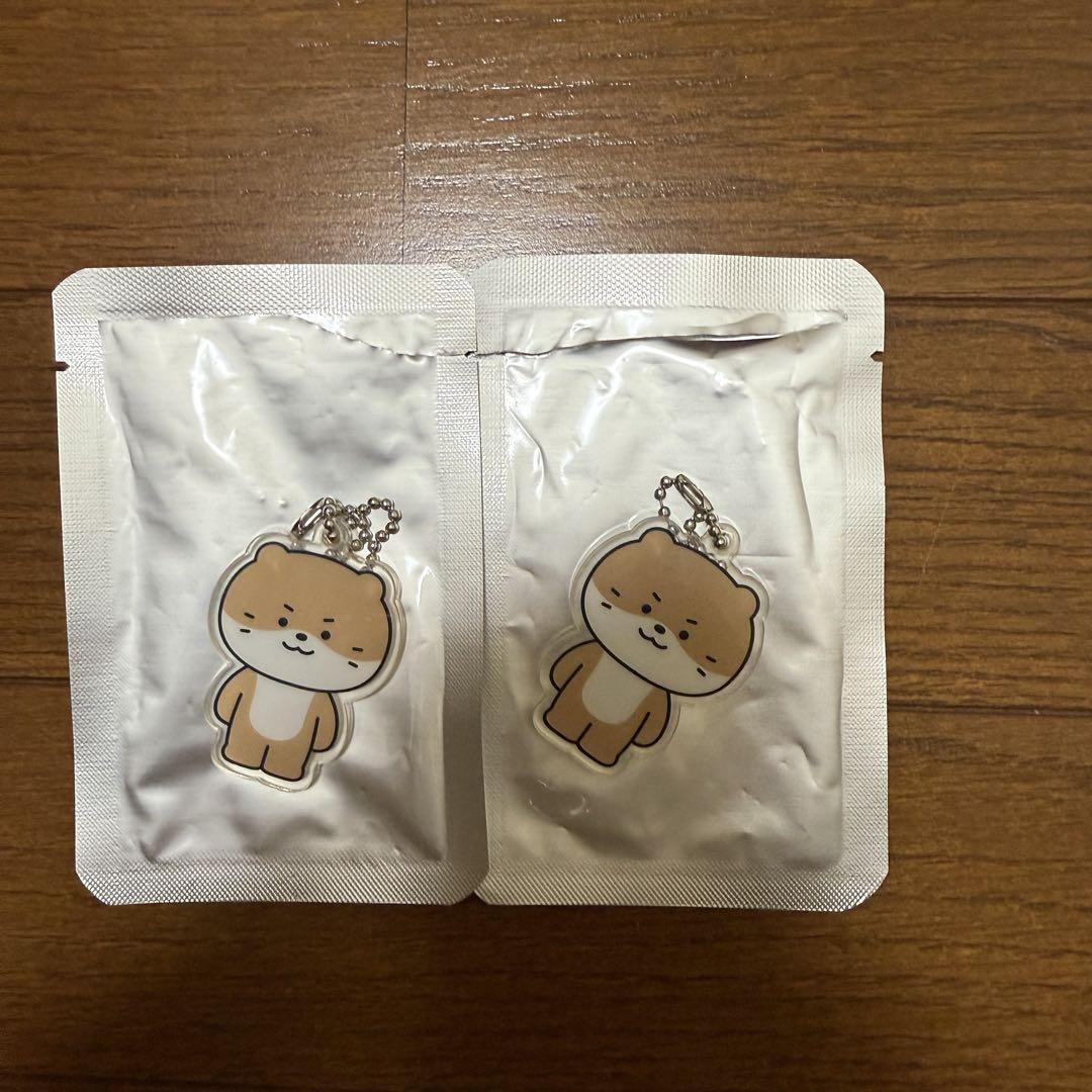 SEVENTEEN MINITEEN ディノ SEVENTEEN MINITEEN ミニティーン アクキー ディノ チャンダリ