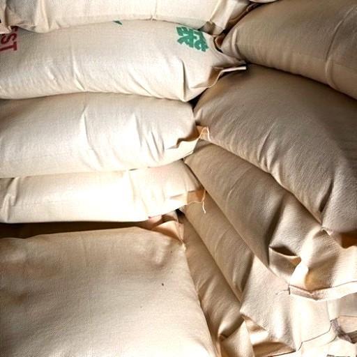 お米　籾米30キロ　令和4年長野県産「あきたこまち」一等級米　送料無料