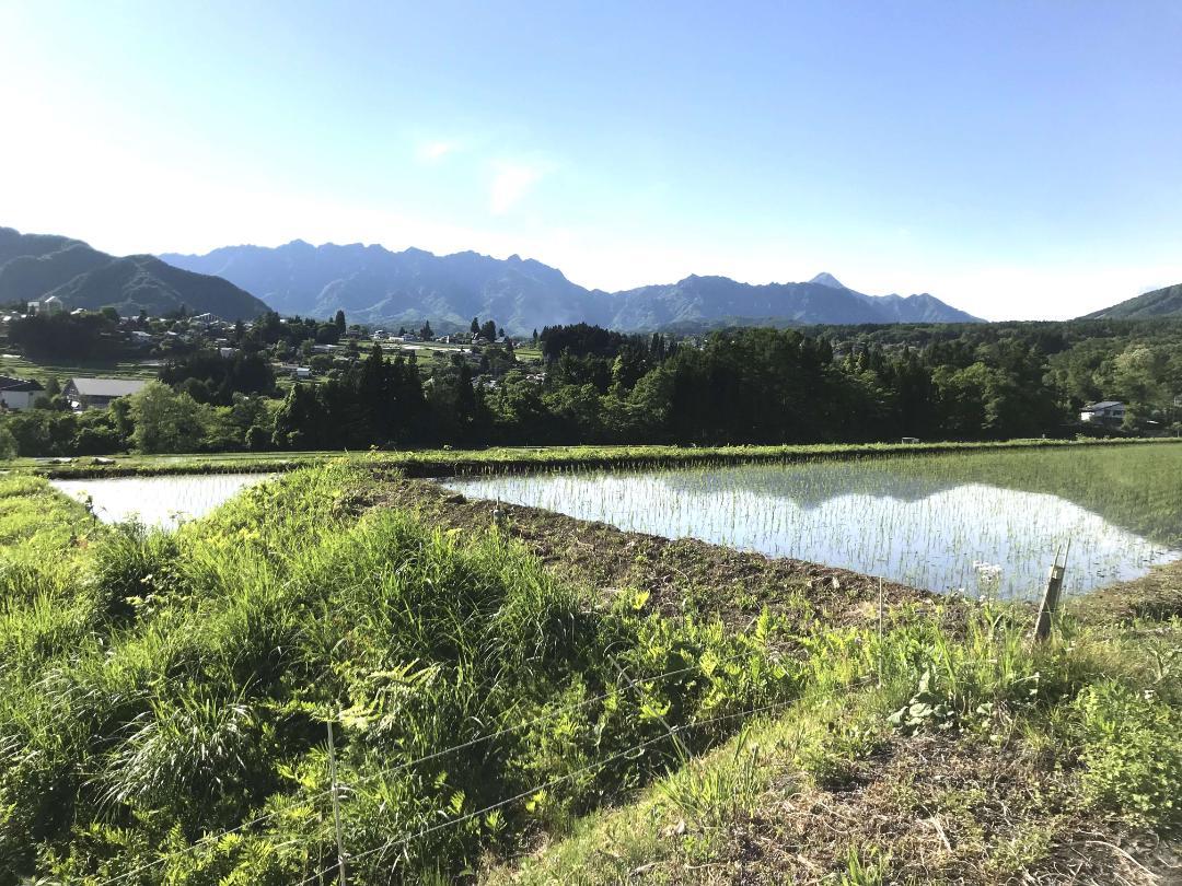 お米　籾米30キロ　令和4年長野県産「あきたこまち」一等級米　送料無料