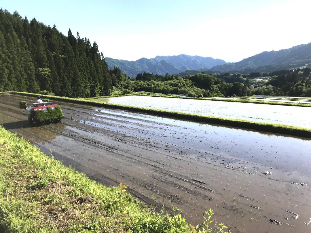 お米　籾米30キロ　令和4年長野県産「あきたこまち」一等級米　送料無料