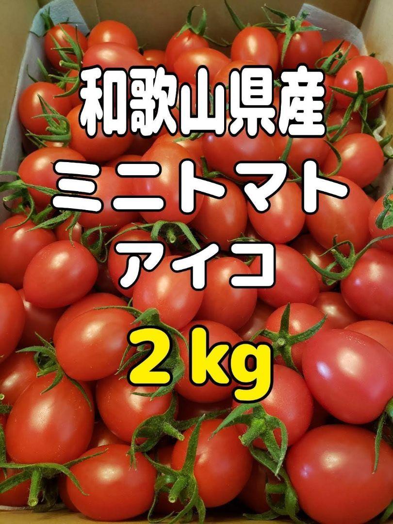 和歌山県産 ミニトマト アイコ 2kg - メルカリ