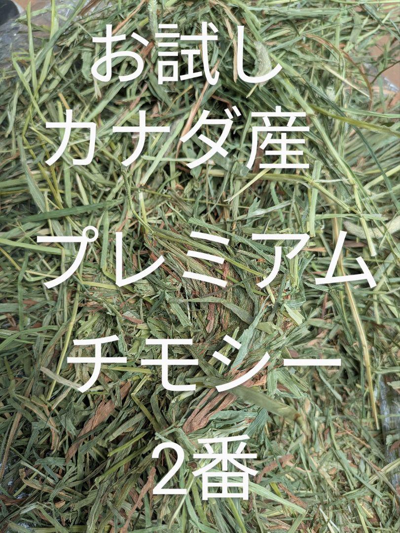 お試し♫ カナダ産スーパープレミアムチモシー2番刈り 50g