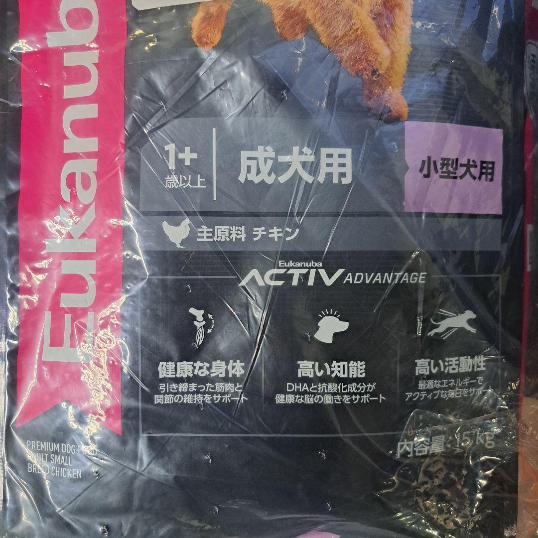 yqyさん　成犬