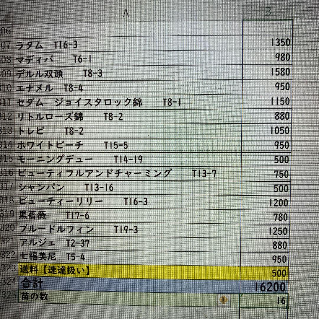 れあり 130.おかん様 XEBLr-m73527994575 けまでに