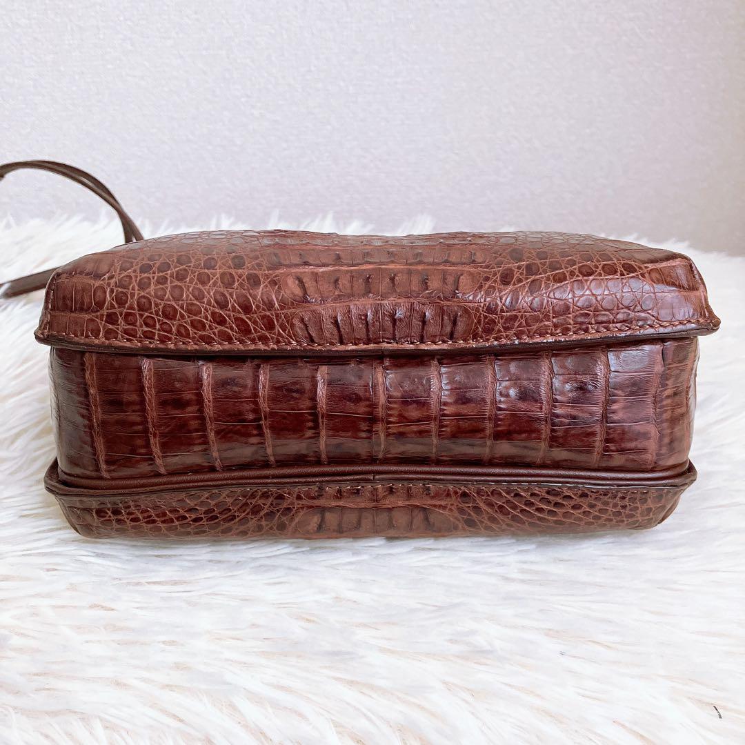 Crocodile✨️クロコダイル　ショルダーバッグ　ブラウン　パスケース付き Crocodile✨️クロコダイル ショルダーバッグ ブラウン パス