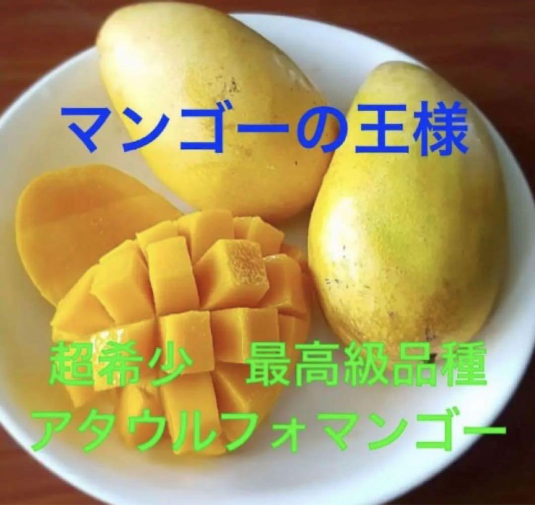 2種類のセット ￼アップルマンゴー大玉　アタウルフォマンゴーお得セット　1点限定