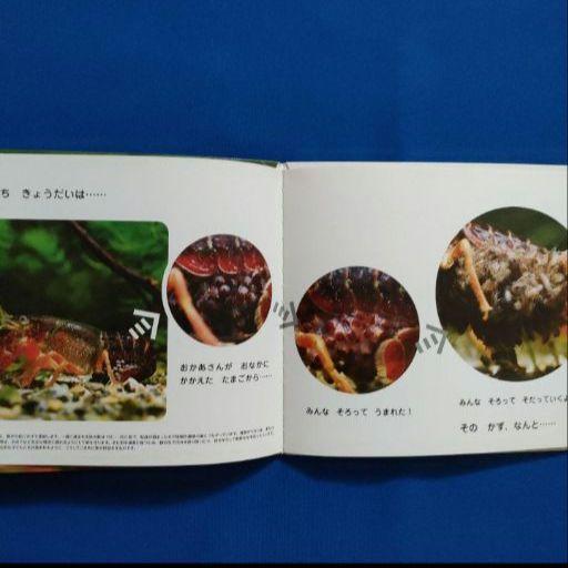 かがくのとも なんでもサイエンス がっけんかがくえほん