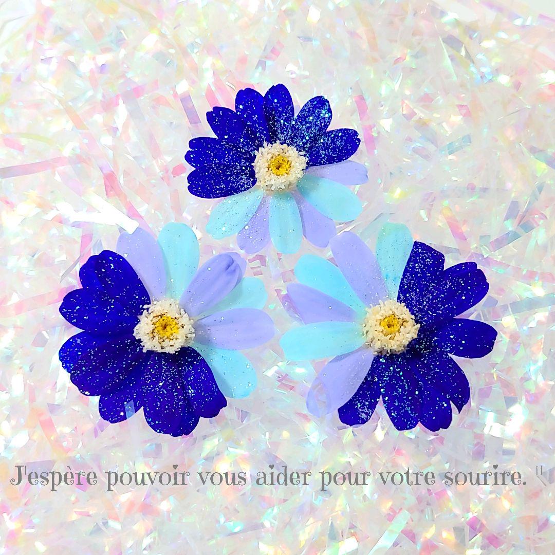 予約受付中】 加工花材* ブルーグラデ ジニア プリザーブドフラワー