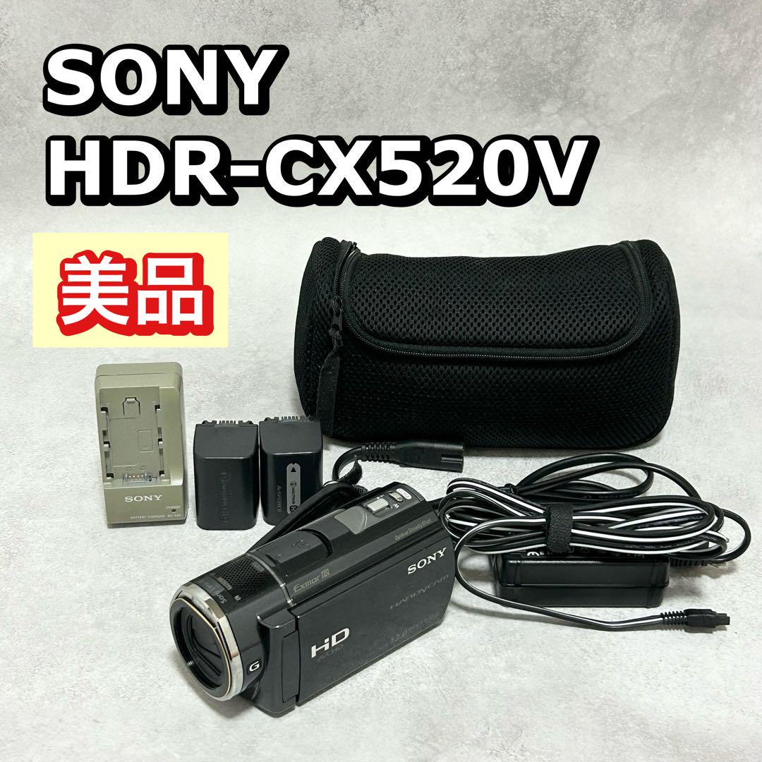 ソニー HDR-CX520V ビデオカメラ ハンディカム