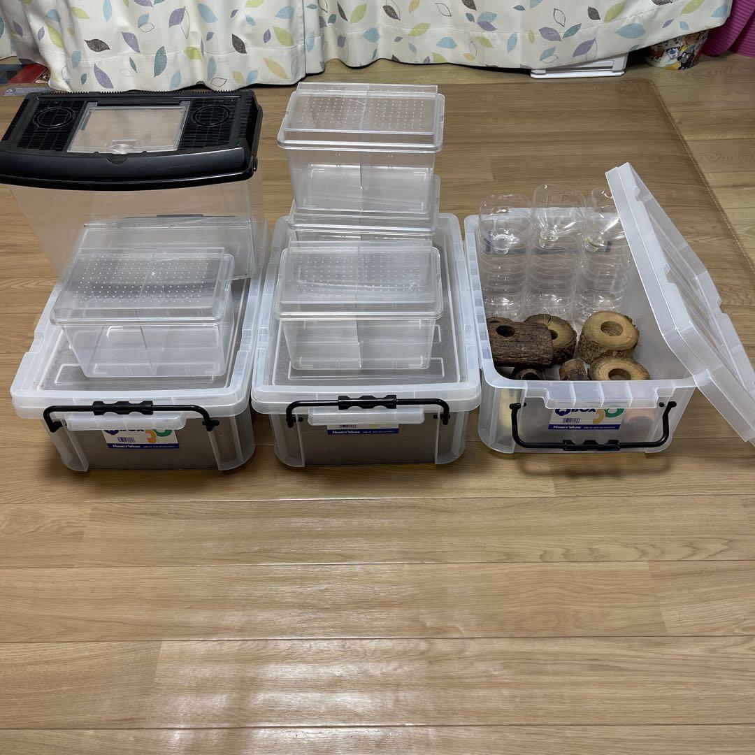 カブトムシ飼育セット