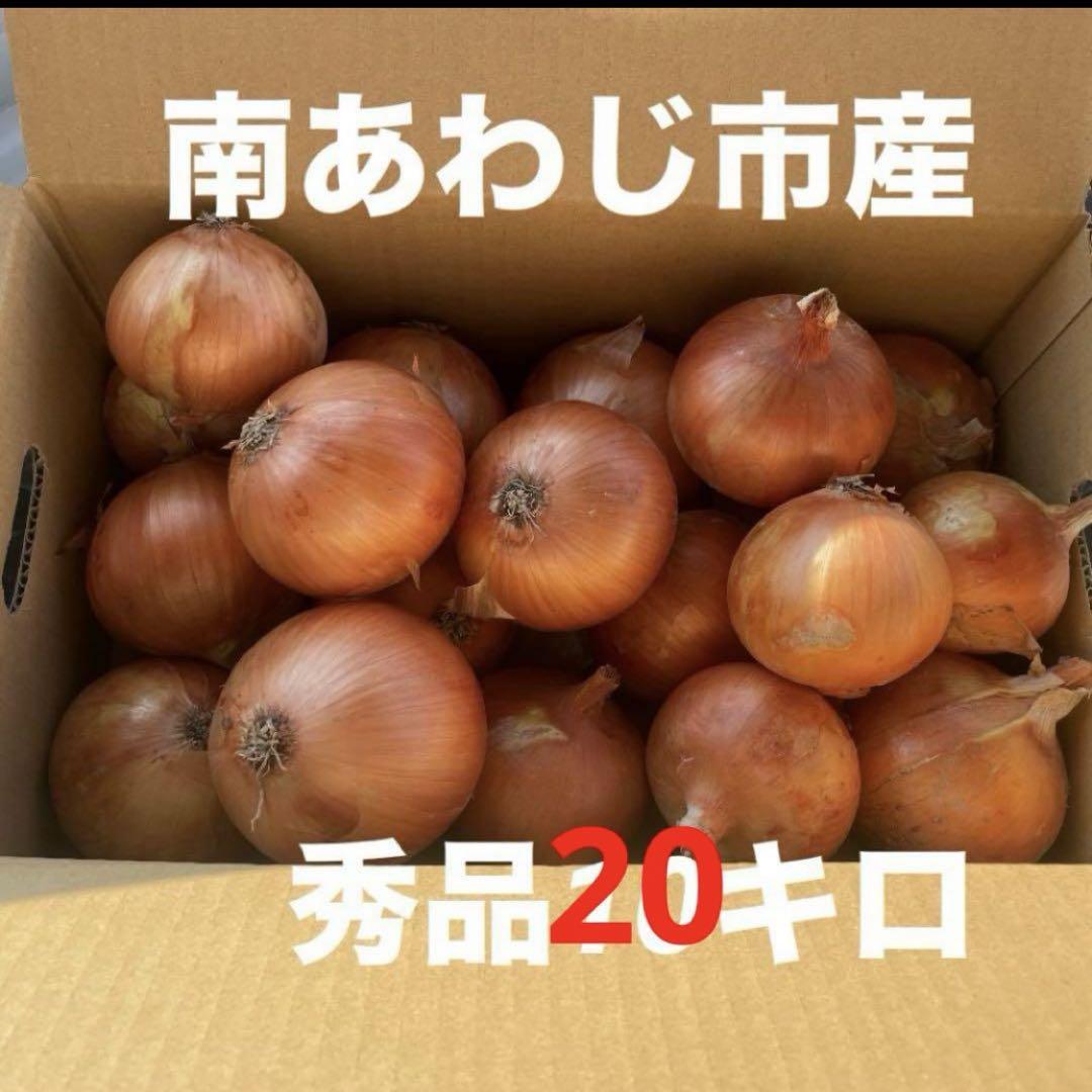 淡路島 玉ねぎ ターザン 秀品 20キロ LLサイズ 農家直送 淡路島産玉ねぎ 中生ターザン秀品20キロ - メルカリ