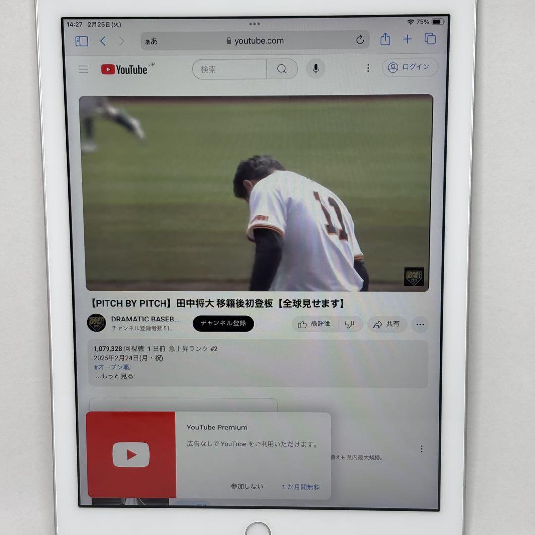 iPad 第6世代 Wi-Fi モデル　32GB