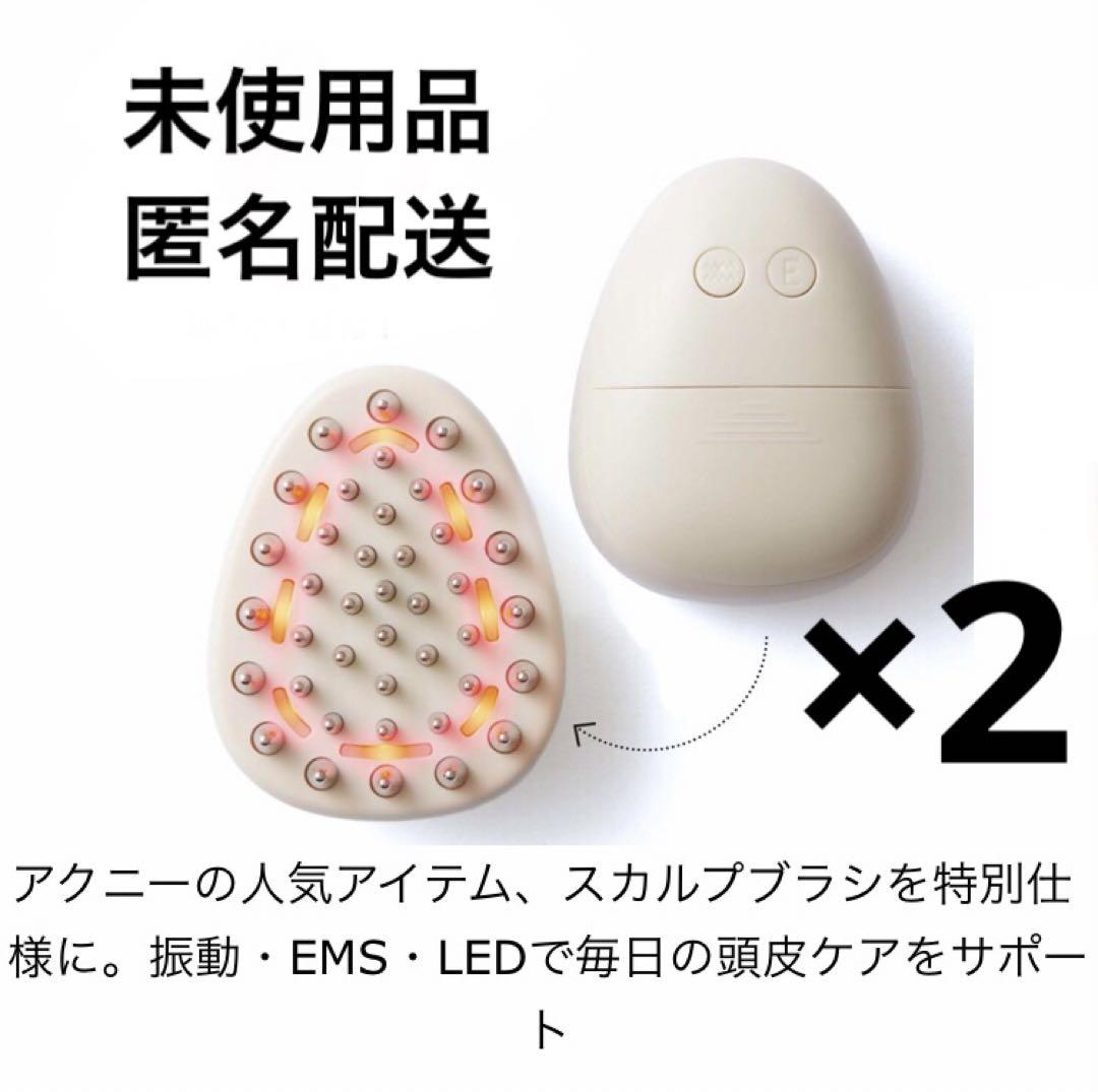 オトナミューズ付録アクニーEMS・LED・振動 電気スカルプブラシ×2個