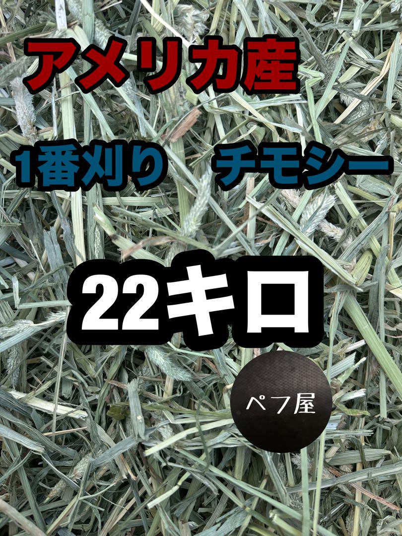チモシー　22キロ　ウサギ モルモット　デグー チンチラ １番刈