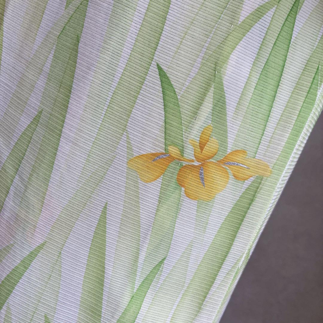 単衣　小紋フルセット　絽　紗　夏着物　しつけ糸付き　正絹　菖蒲　薄緑　G5 単衣 小紋フルセット 絽 紗 夏着物 しつけ糸付き 正絹 菖蒲 薄緑