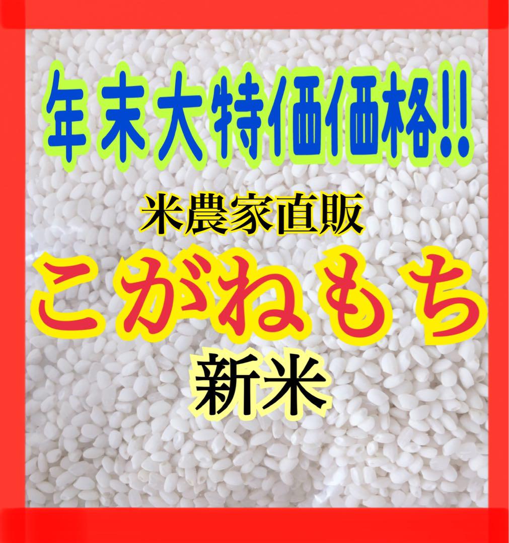 農家直販 減農薬 令和 5年 こがねもち もち米 新米 20kg 玄米 白米