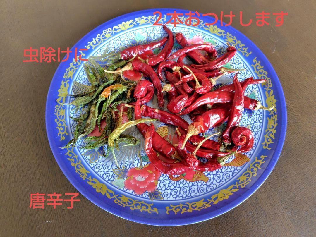銀河のしずく 10kg 岩手県産 令和６年産 減農薬 玄米 単一原料米