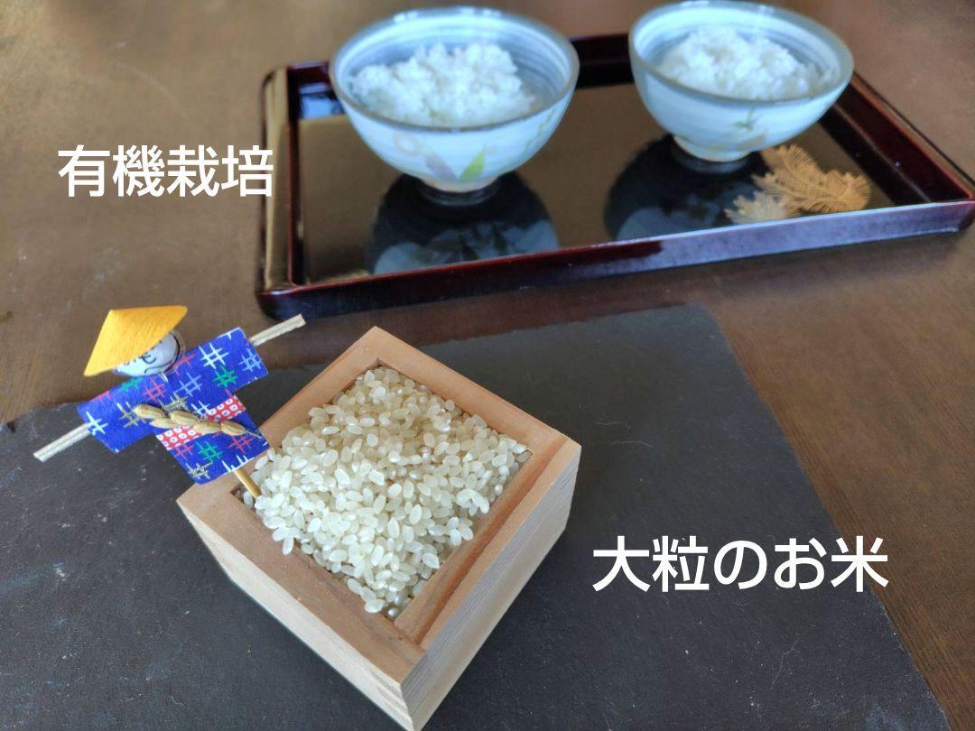 銀河のしずく 10kg 岩手県産 令和６年産 減農薬 玄米 単一原料米