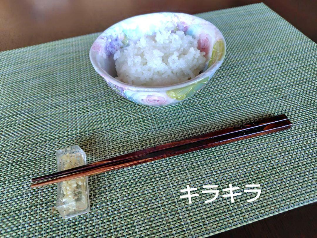 銀河のしずく 10kg 岩手県産 令和６年産 減農薬 玄米 単一原料米