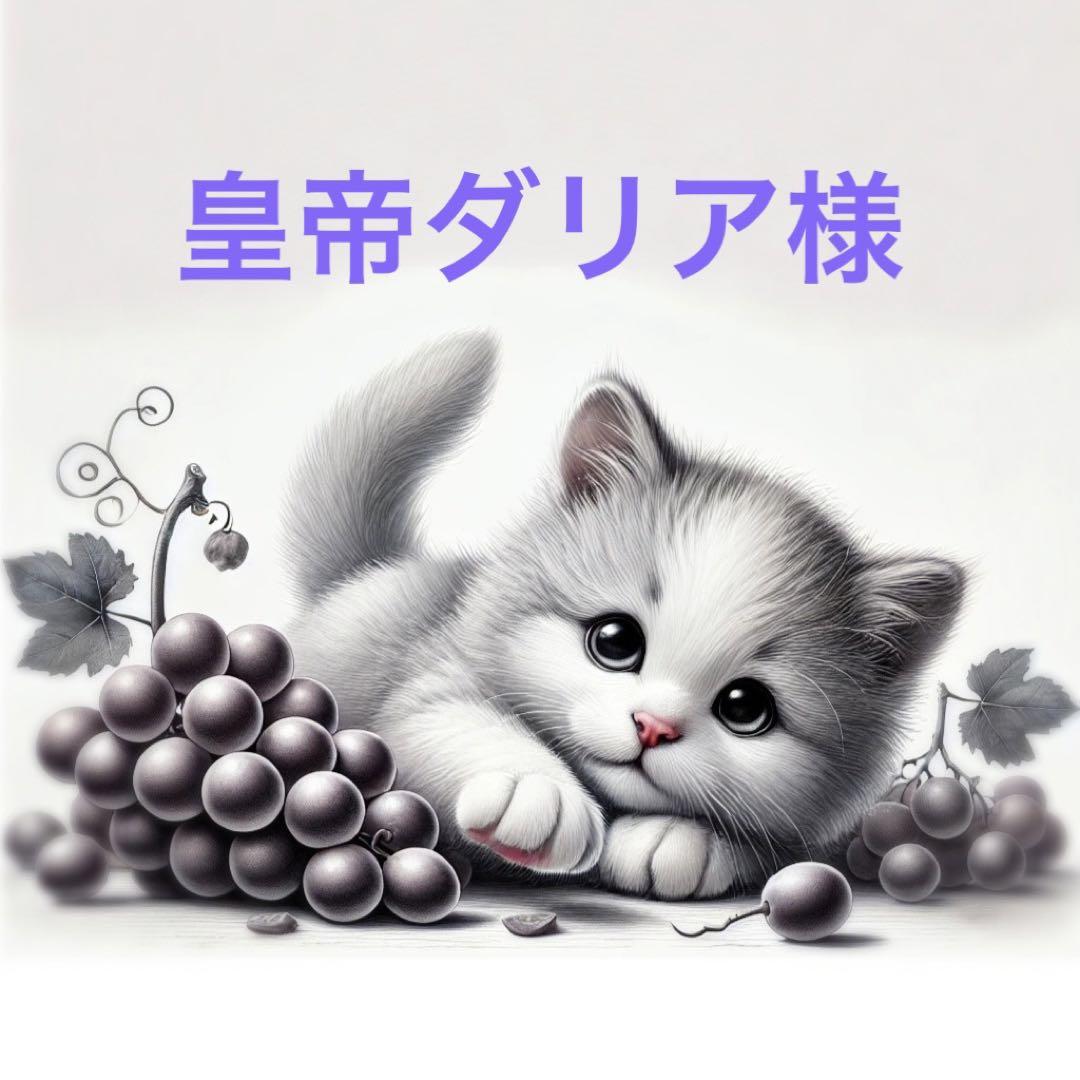 皇帝ダリア様❤️専用 画像1