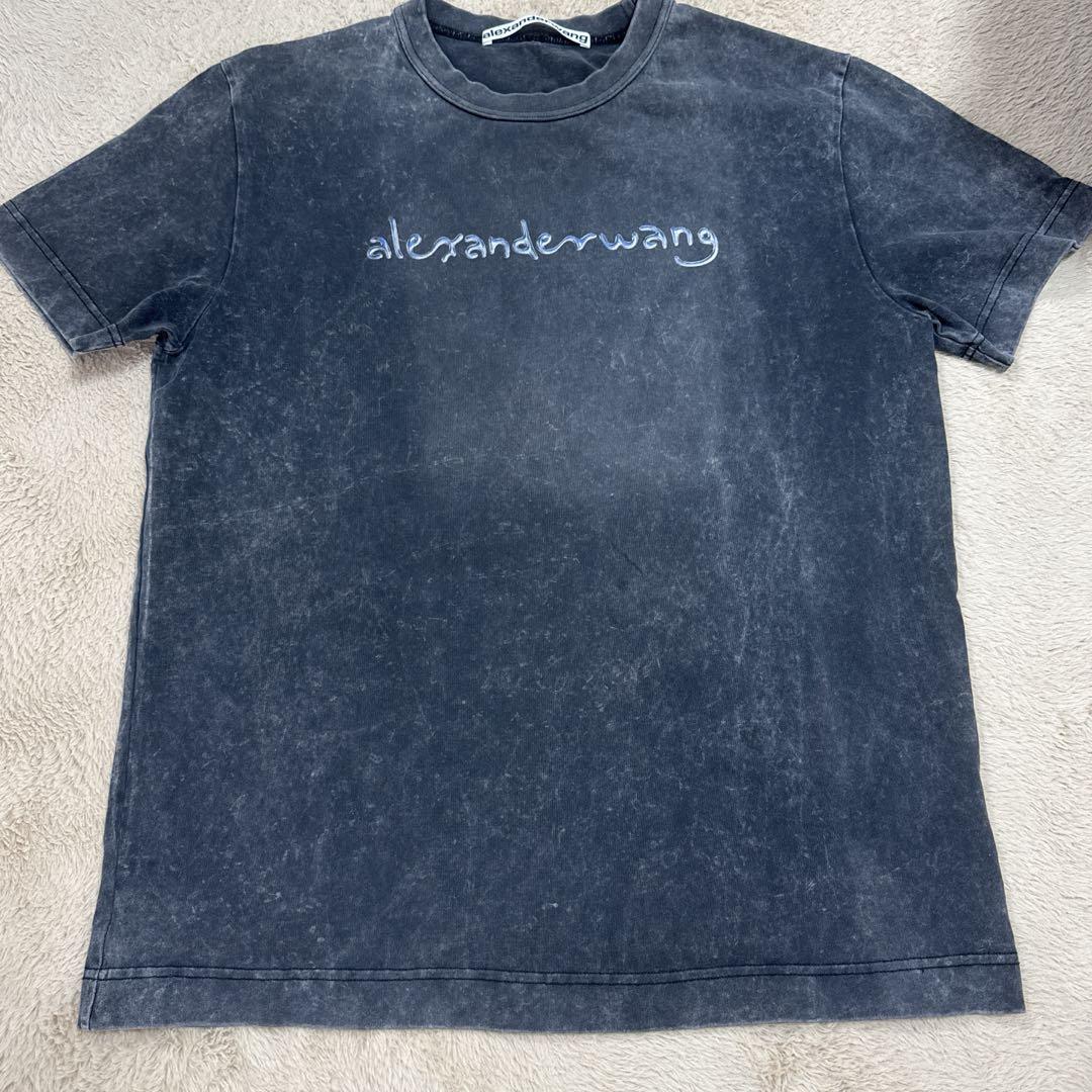 Alexander wang tシャツ TWICE モモ着用