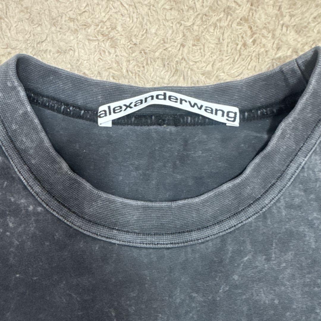 Alexander wang tシャツ TWICE モモ着用