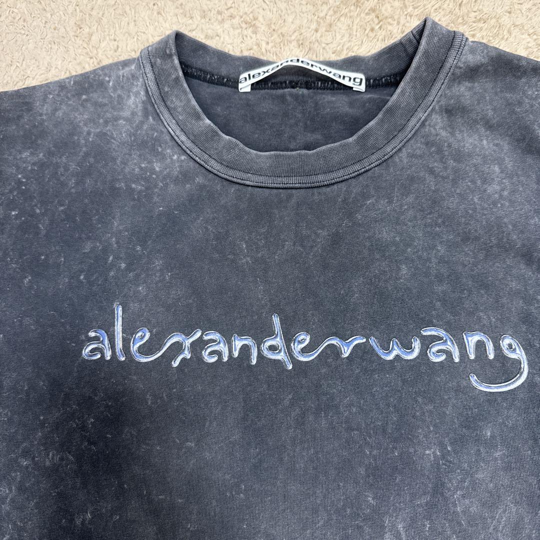 Alexander wang tシャツ TWICE モモ着用
