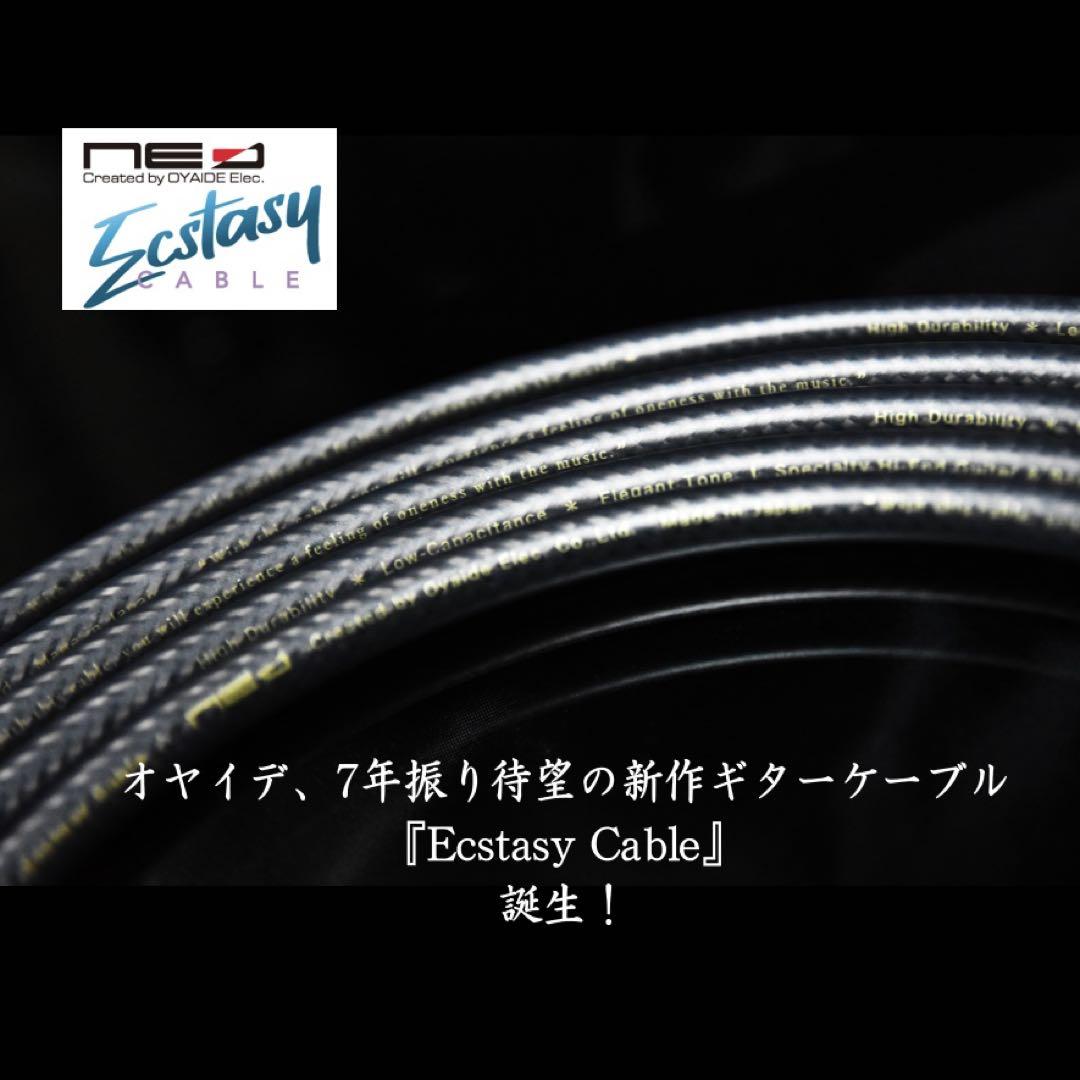 HighEnd】フラッグシップ Ecstasy Cable「L/S2m」［新品］ HighEnd】フラッグシップ Ecstasy Cable「L/S2m」［新品