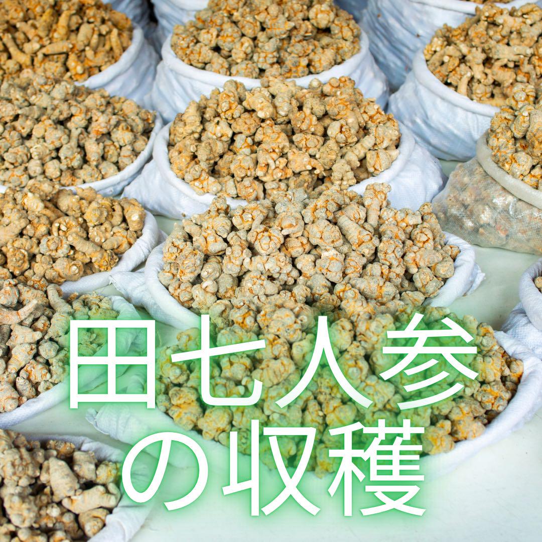 体調の変化を実感するために、田七人参は、まず3ヶ月分の服用をお勧めします。