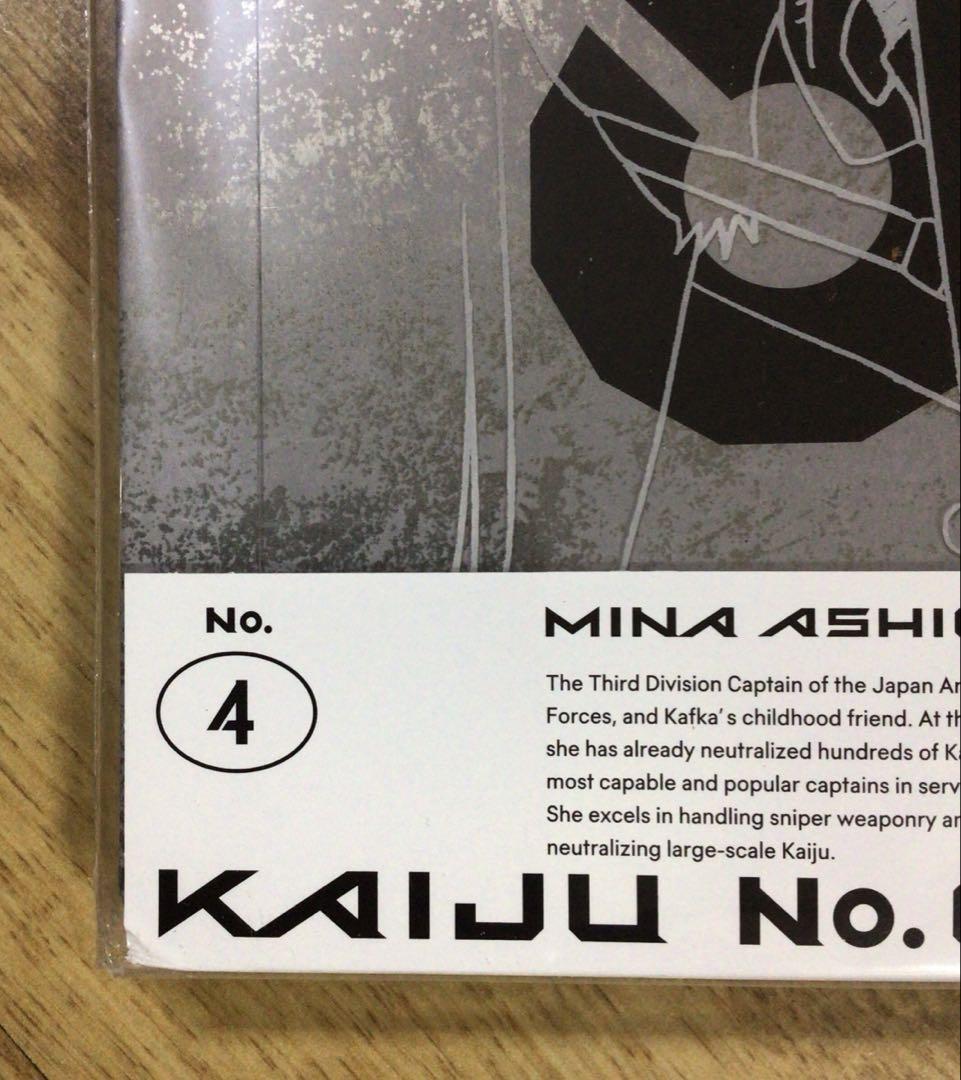 版