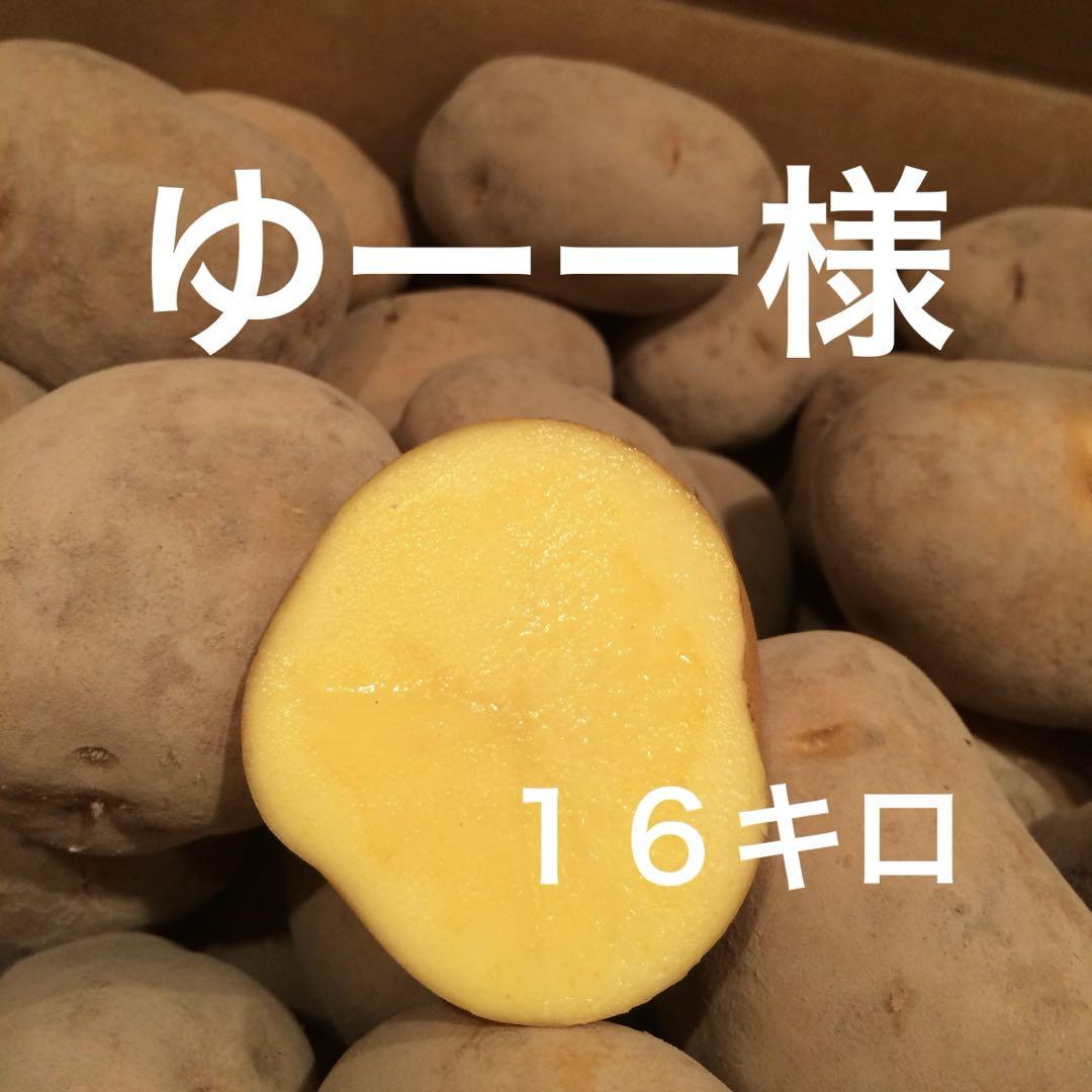 ゆーーさま専用　じゃがいも