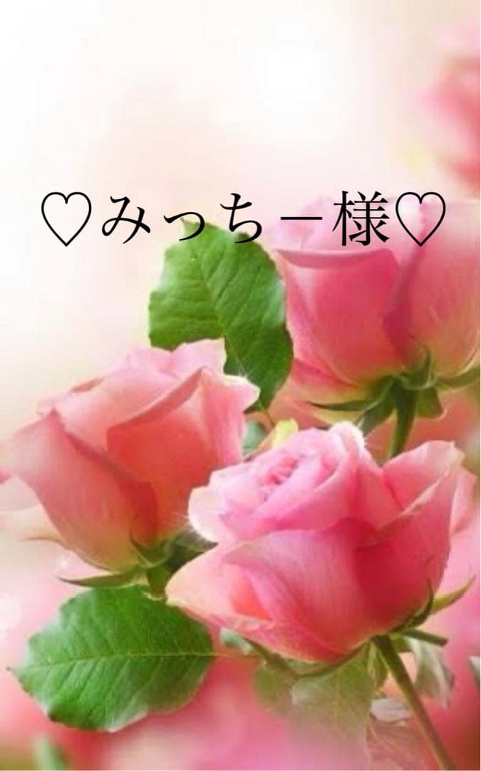 ちーたろう様専用ページです️️️ ソルトツリー様専用ページ 金太郎様専用ページ レモンだよ様 専用ページ