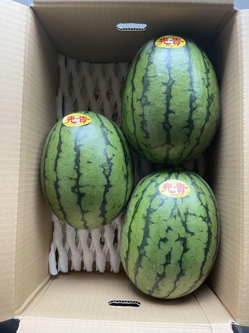 長崎県　小玉スイカ　数量限定ですのでお早めに
