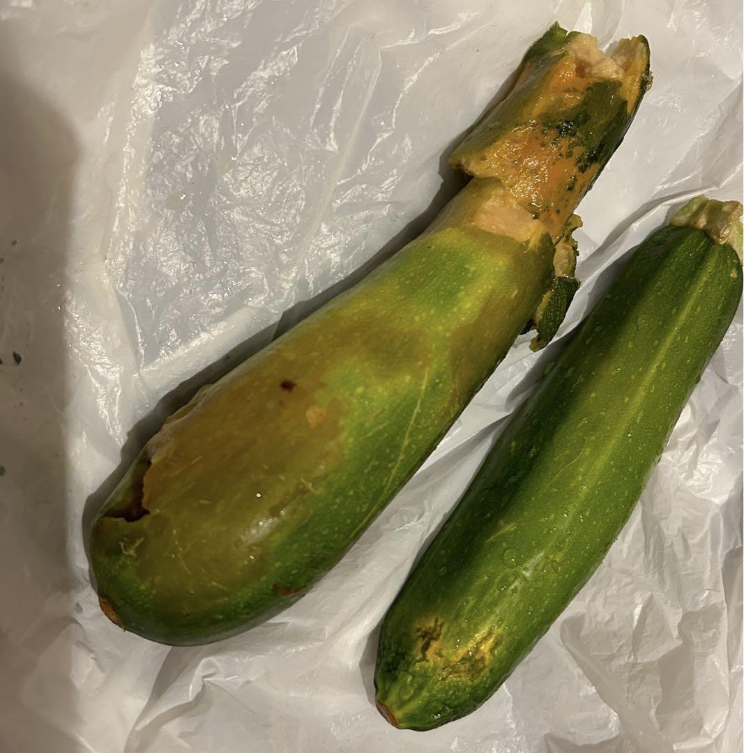 【出品様ご確認用】