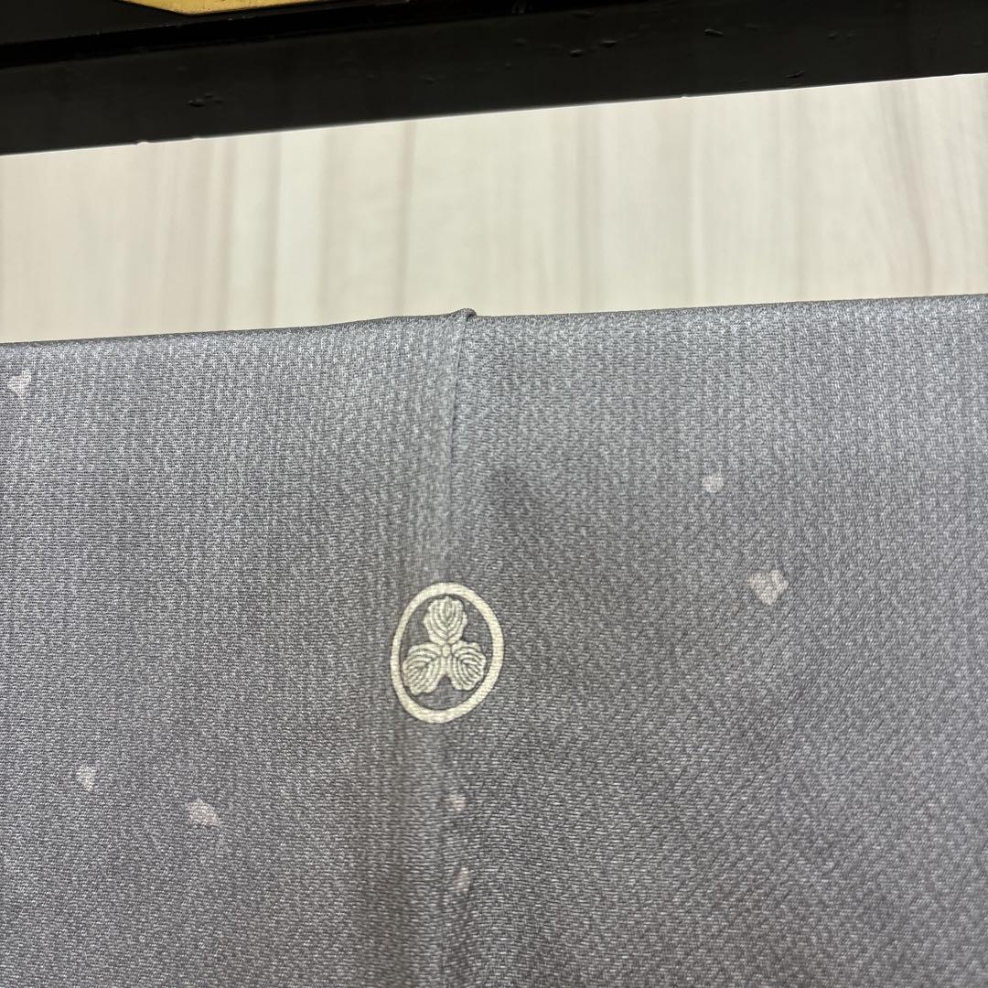 付下げ 作家物 裄65 金彩に細かな刺繍 一つ紋 正絹 着物 AK-3627 .
