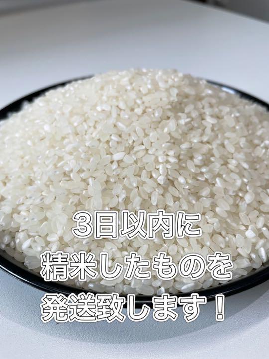 送料無料 30kg 10kg×3本 1uypZ-m73732427198 近江のお米 大人気人気
