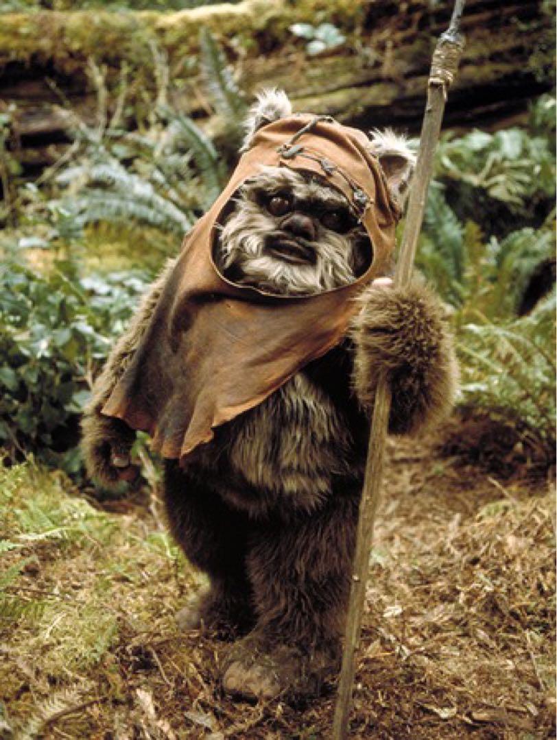 スターウォーズ　イウォーク　star wars Ewokリュック
