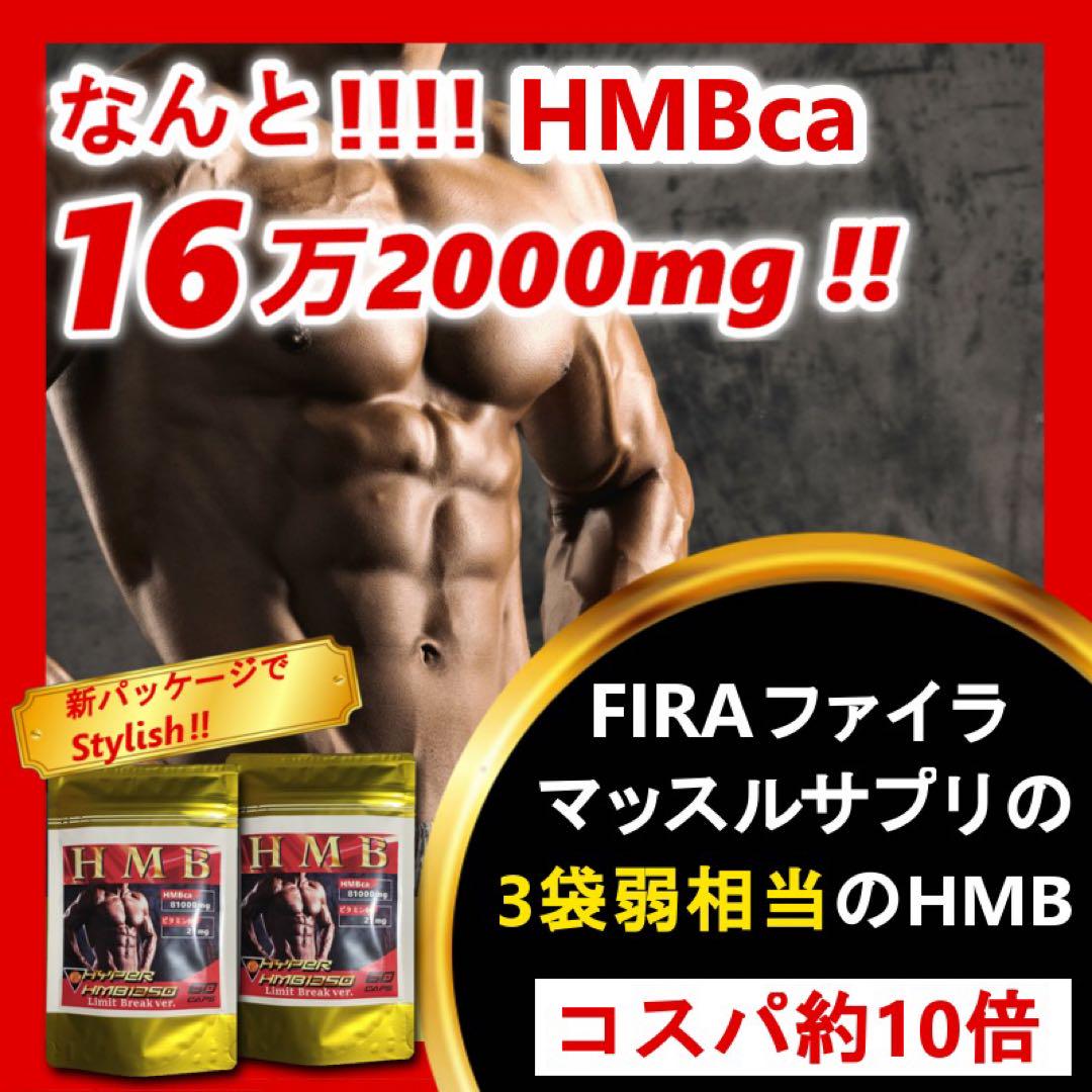 2袋◇16万mg超のハイスペック含有量 HMB 【プロテイン
